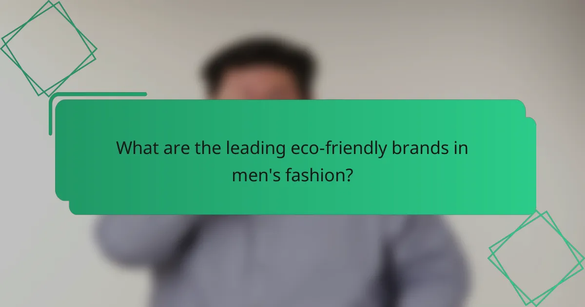 What are the leading eco-friendly brands in men's fashion?